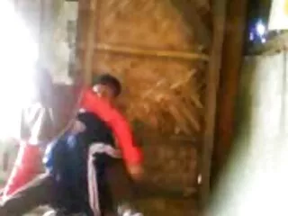 ფრანგული ყავისფერი თმიანი ტრაკის აუდიცია