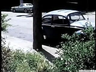 კრისტის კანიონი ამერიკული კლასიკური 80 -იანი წლები